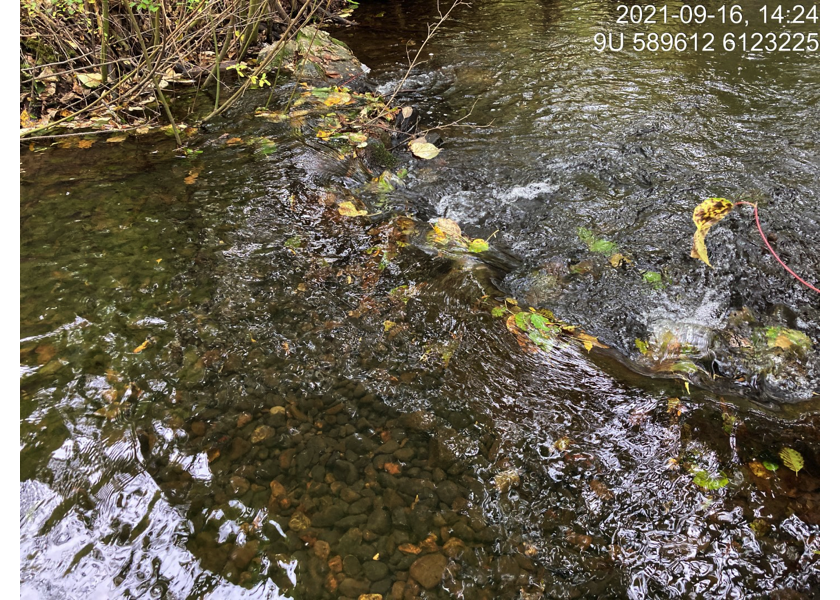 Typical habitat upstream of PSCIS crossing 124420.