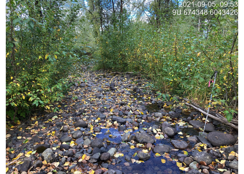 Typical habitat downstream of PSCIS crossing 198048.