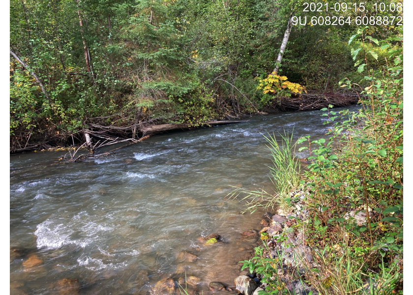 Typical habitat upstream of PSCIS crossing 57944.